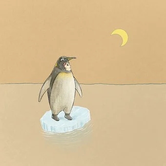 penguin-5786337__340.webp