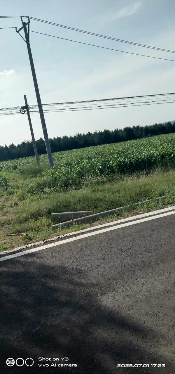 七嘴八舌
