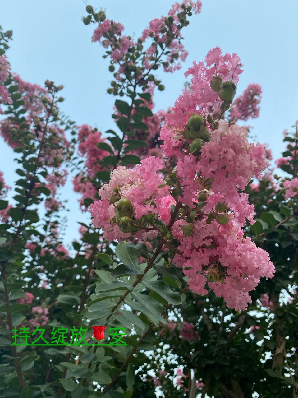 七嘴八舌