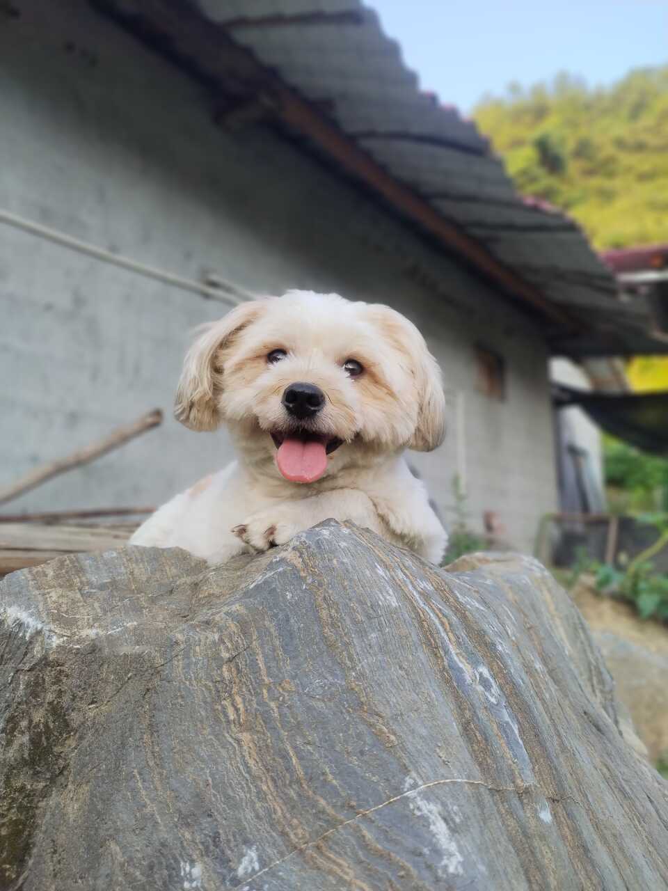 晒出我的成就