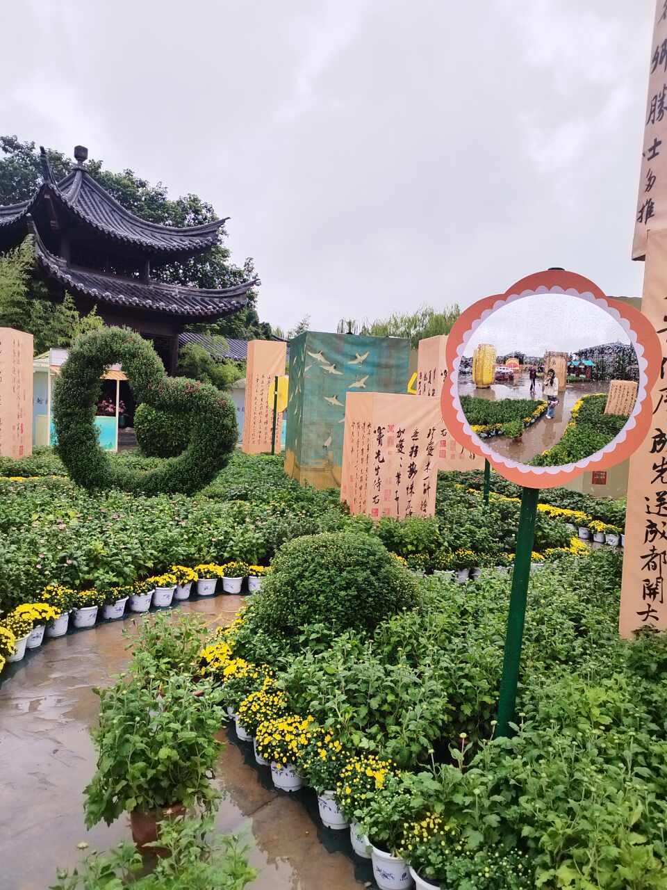 七嘴八舌