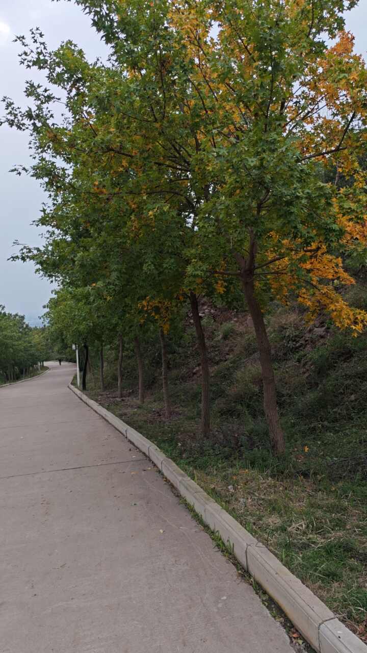 晒出我的成就