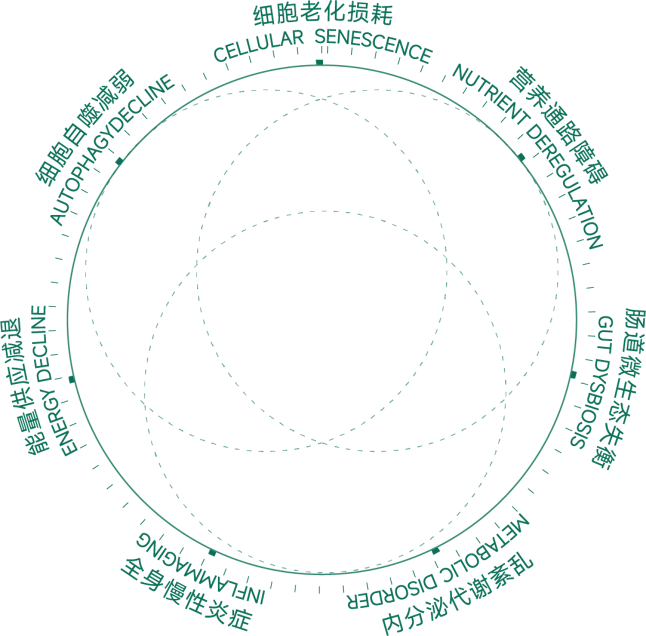 7D Radar