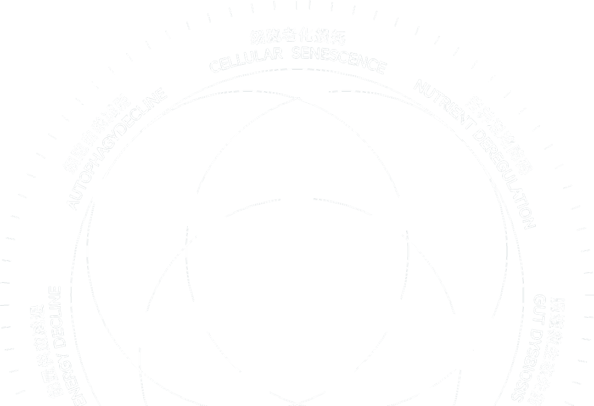 7D BioRadar