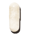 BRAIN