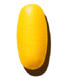 ANTI-AGING